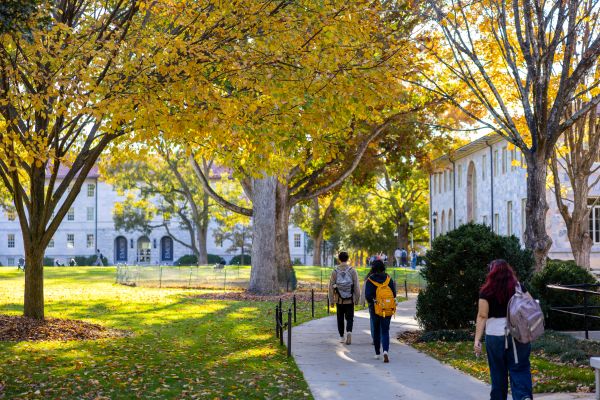 Undergraduate Honor Code